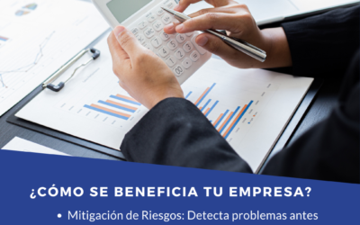 Auditoría Externa y Diagnóstica